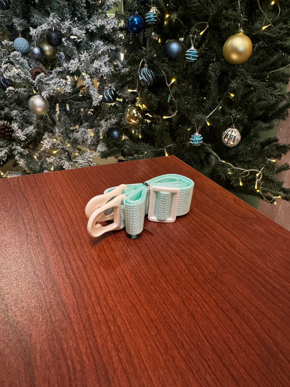 2025 Water Bottle Strap