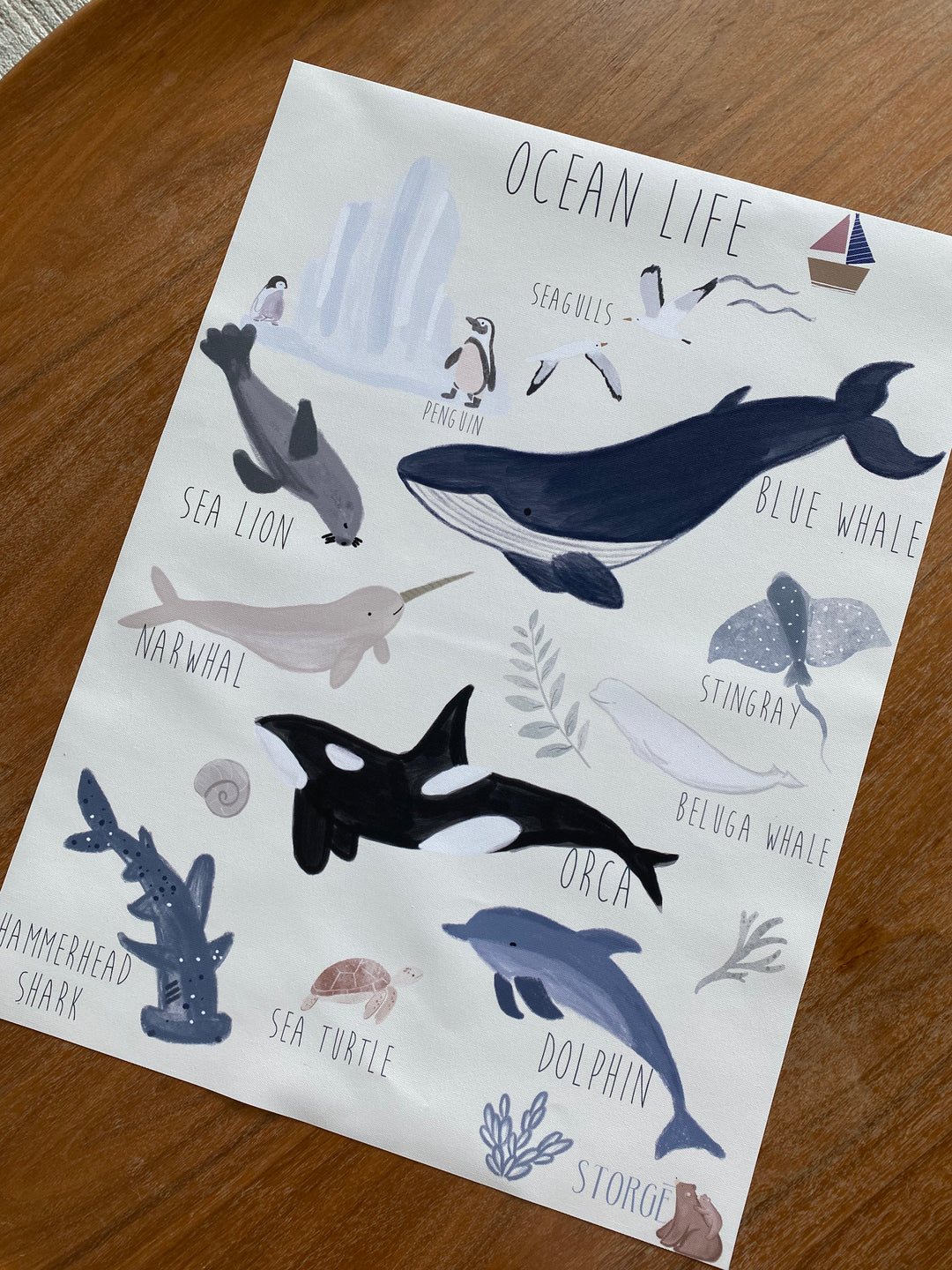 Ocean Life Poster